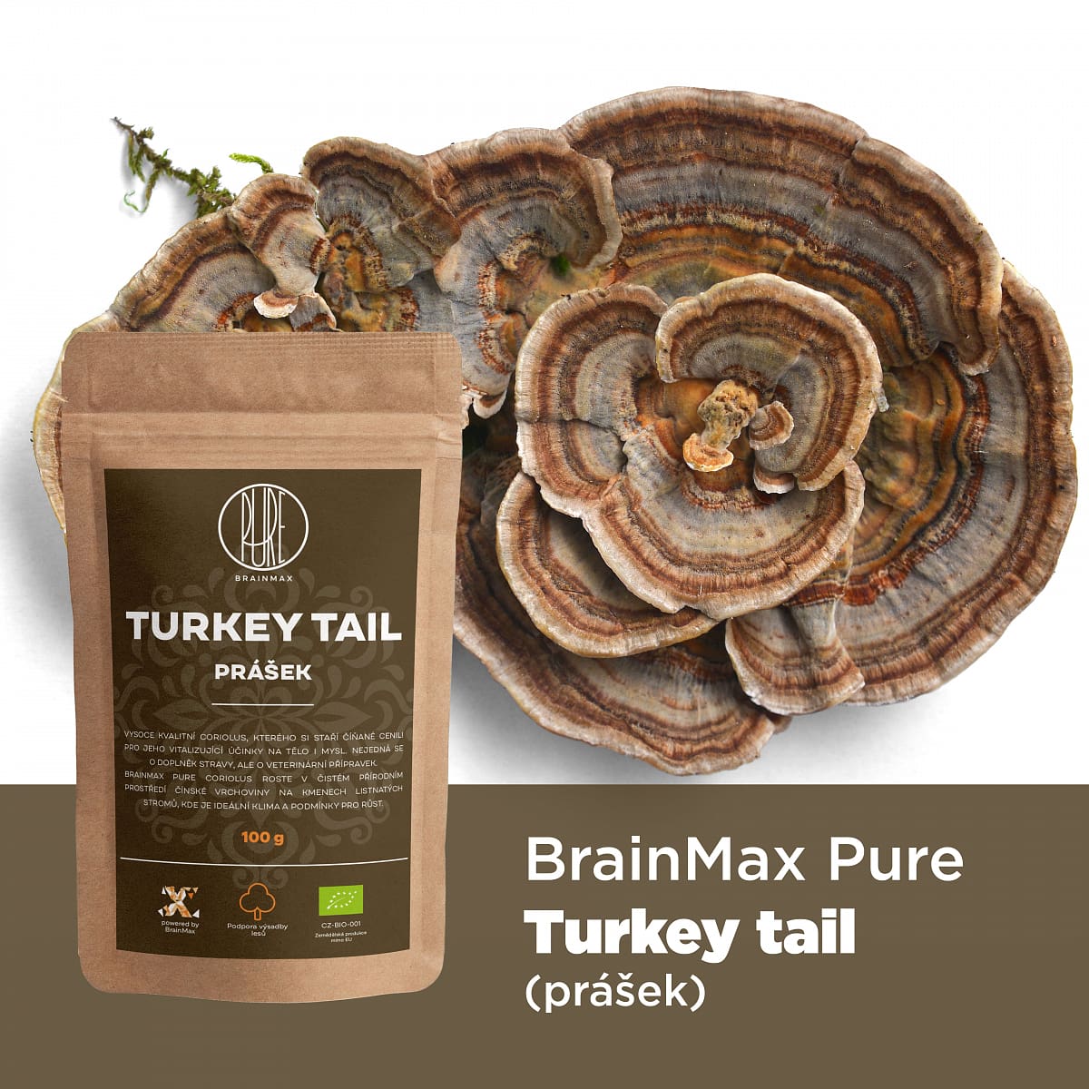BrainMax Pure Turkey Tail (Coriolus) prášek, BIO, 100g *CZ-BIO-001 certifikát