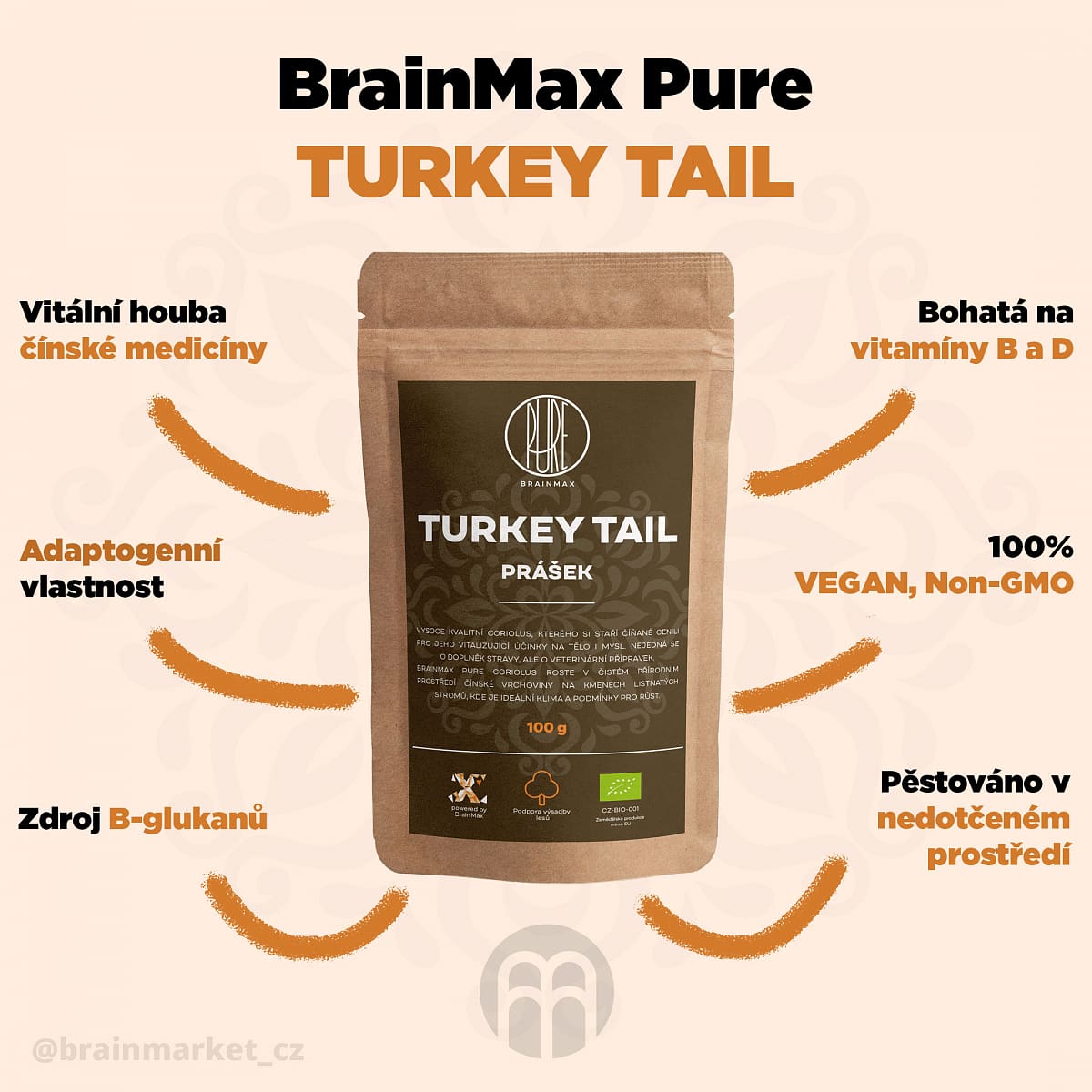 BrainMax Pure Turkey Tail (Coriolus) prášek, BIO, 100g *CZ-BIO-001 certifikát