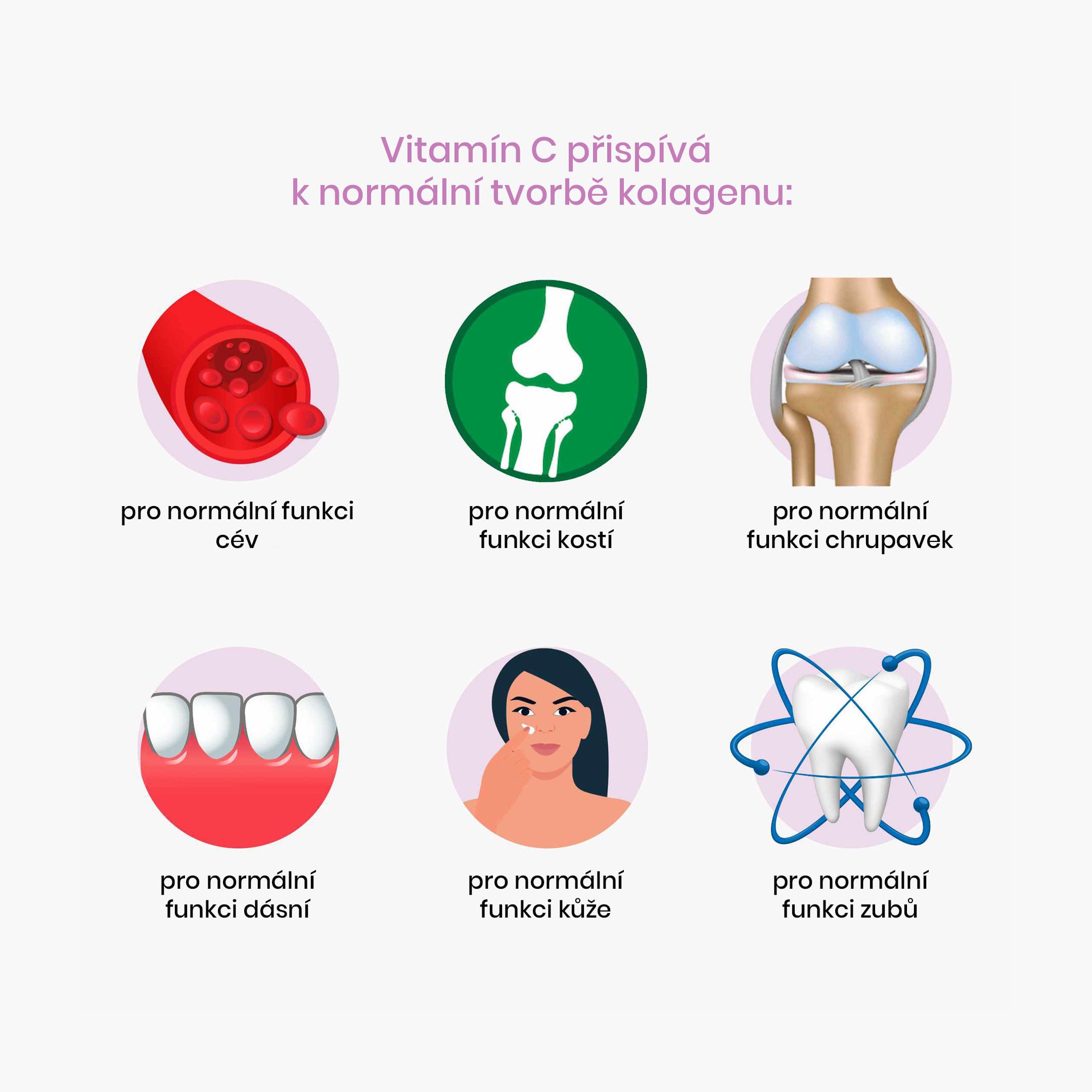 vitamin C_infografika1_cz